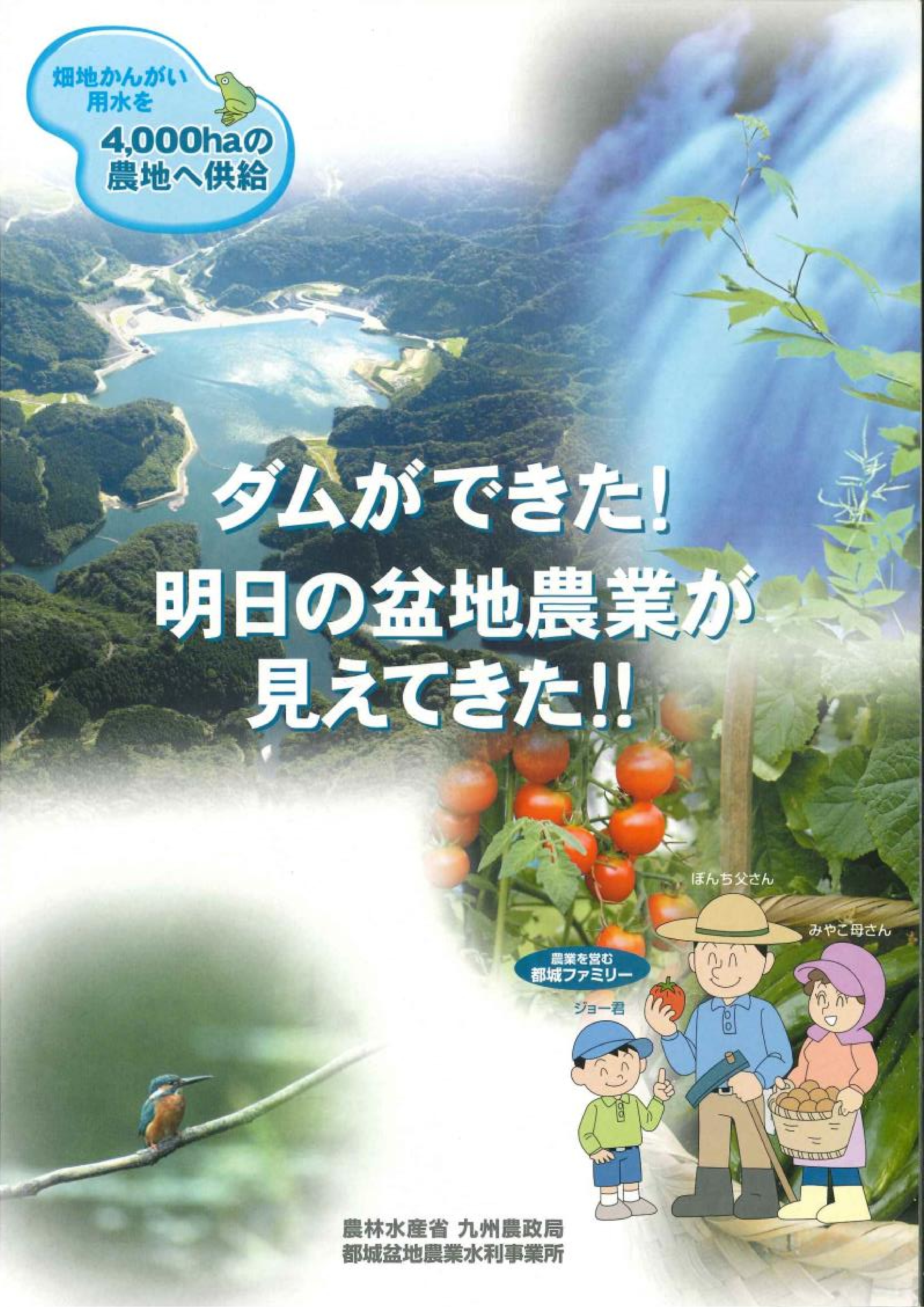 ダムができた!